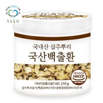 푸른들판 국산 백출환 삽주뿌리환 210g 1통 haccp 인증, 단품