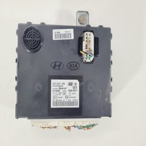 [중고] 현대 에쿠스 BCM 모듈 95400-3N011 / 954003N011 [D3]