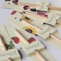 꿈쟁이 씨앗연필 1p 식물기르기 5종 봉선화, 1개