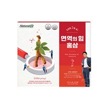 국내산 6년근 홍삼정 에브리데이 스틱, 10g x 30포