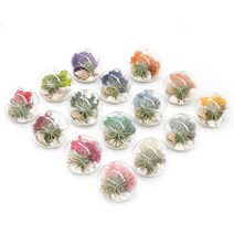 [천삼백케이] [아침향기] 행잉볼 천연 가습 DIY 테라리움 틸란드시아 모스 15colors, 모스그린, 행잉볼 DIY