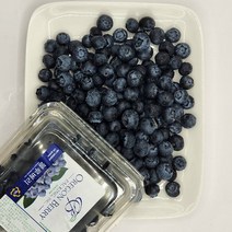 블루베리 생블루베리 125g 2팩, 125g(1개입), 1