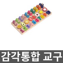 감각통합 교구 캠핑장장난감 밸런스 작업치료 활동, 8. 5in1 과일 매칭보드+과일포장비즈