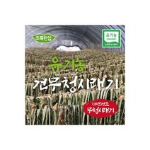 초록한입 1인가구/국내산 유기농 건무청시래기 50g 유기농산물 152664