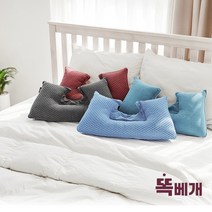 리얼클린 세탁기에빨아쓰는 똑베개 알러지 아토피 거북목 목디스크목주름방지 편안한 꿀잠 숙면베개, 블루