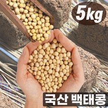 국내산 백태 메주콩 두부콩 노란콩 콩비지 메주만들기 국산 백태콩 5kg, 단품