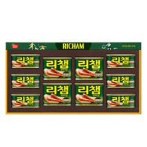 동원선물세트 리챔10호 (1세트) 명절선물, 단품