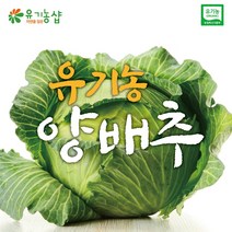 [초록한입] 국내산 유기농 양배추 2kg
