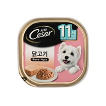 간식 11세이상 캔 닭고기 100g 소화잘되는 치와와 닥스훈트 통조림간식 푸들 셰틀랜드쉽독 비글 몰티즈