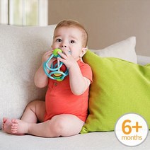 CAILOOM 국민 아기 실리콘 딸랑이치발기 6개월 장난감 이앓이 치아발육기 구강기장난감, 기본, 기본