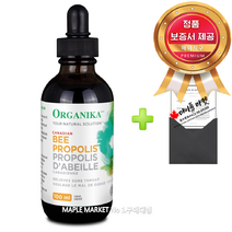 올가니카 캐나다 비 프로폴리스 무알콜 천연 원액+정품보증서 캐나다 직배송, 100ml, 1병