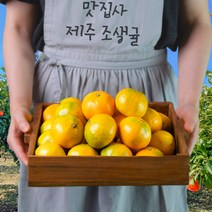 맛집사 제주도 조생 귤 카라향 고당도 제주 노지 감귤 선물용 가정용 5kg 10kg, 제주 카라향 (못난이) 5kg