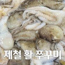 [제철별미] 산지직송 서해안 국내산 100% 활쭈꾸미 1kg, 3kg
