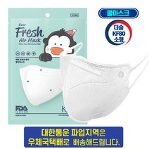더숨 kf80 소형 어린이용 새부리형 쿨링감소재 귀통증없는 특수밴드 에버프레쉬 보건용마스크 1매입 개별포장, 10개, 화이트