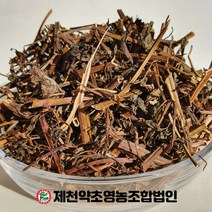 국산 박하 500g 제천약초영농조합 제천약초시장, 1, 500