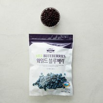 [베리필드]냉동 와일드 블루베리 캐나다산 1kg, 1개