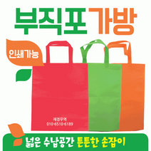 부직포가방[부직포가방(일반형)]부직포가방/에코백/신발주머니/보조가방/고급부직포가방/장바구니/인쇄가능, 가로형 부직포가방(스카이블루)