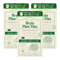 식약처인증 포스파티딜세린 뇌 두뇌 수험생 영양제 기억력 인지력 개선 징코 은행잎 추출물 혈액순환 건강기능식품, 브레인 포스파티딜세린 3개
