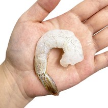 손질 흰다리 왕새우 900g 21-25 캠핑용 대왕 새우살, 21-25 왕새우 900g