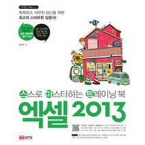 엑셀 2013:스스로 마스터하는 트레이닝 북, 성안당