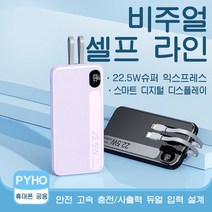 100W 대용량 보조배터리 잔량표시 20000mAh 급속충전 휴대용 보조배터리, 파란색
