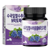초담식품 쁘띠톡 수국잎 열수 추출물 N 락토페린 36g, 60정, 1개