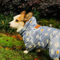 패션 웨일스 어 Corgi 개 비옷 점프 슈트 애완 동물 의류 방수 개 옷 골든 리트리버 비 재킷 대형 개 의상|Dog Raincoats|, 1개, D, 3L