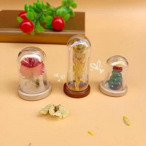 15X 미니 레인보우 현대 공예 유리 돔 커버 드라이 플라워 꽃병 나무 베이스 풍경 인형 모델 디스플레이 작품, 12 20x50mm NO3 Cap, 01 15pcs