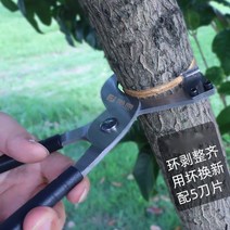 나무 껍질 박피가위 원예 포도 탈피기 과수원 아상 커터 사과 대추 필링 도구, B, 1개