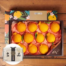 제주 한라봉 과일선물세트, 4.5kg 10-14과