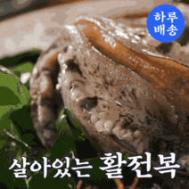 뚱복이 명품 완도 활 전복 1kg 설 명절 선물세트, 12호 실속 18-20미 1kg