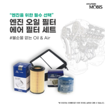 쏘나타 NF YF LF DN8 순정 에어클리너 오일필터 세트, NF 디젤