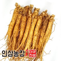 더굿진생 금산인삼 수삼 햇인삼 원수삼 삼계탕재료 가정 업소용 350g, 1개, (세척안함)알뜰형 350g(17~20뿌리)