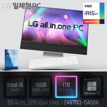 LG 일체형PC(12세대) 24V70Q-GA56K [이벤트 한컴오피스 증정], 24V70Q-GA56K 램16GB + SSD1TB