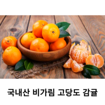 국내산 신선한 제주 감귤 비가림귤 2kg 5kg 국산 비가림 하우스 감귤 당도 높은 타이벡 불로초 감귤 노지 감귤