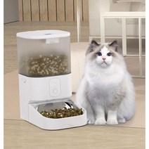 강아지 급식기 자동 무선 사료 급여기 배식기 반려동물 강아지 고양이 피더, 2. 레코딩 3L WiFi - 싱글볼 화이트