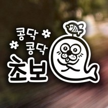 [천삼백케이] [제제데코] 콩닥콩닥 초보예요 자동차스티커 초보운전 반사시트지, 소재:반사