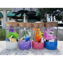 마리모키우기 국산 DIY 유리어항, 바이올렛, 조개, 파랑