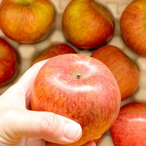 [사과10kg] 부사 사과 꿀 못난이 3kg 5kg 10kg 가정용 고당도 경북, (가정용=흠집못난이)소과(44-47과)10kg