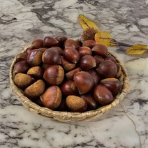 23년 햇밤 공주밤 공주알밤 공주맛밤, 공주햇밤 5KG(특/개당 25G이상), 1개