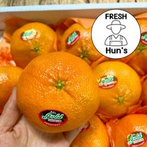 레드향 5kg 10kg 제주레드향 제철 가정용 선물용 세트, 레드향 가정용 3kg