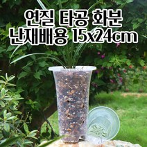 반투명 난/수경 재배용 매쉬 타공형 포트 화분 D15 15X24CM 그린테리어 북유럽풍화분 깔끔한화분