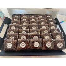 직접 농사짓는 100%국내산 햅쌀 찰시루 2대째떡전문점 47년역사 엄마와딸이 만드는 통팥찰시루떡 영양찰시루떡, 영양찰시루 1k(8~12개)