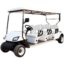 전동 골프 카트 골프카 4륜 전기 자동차 놀이공원, 2인승 레드 천장루프