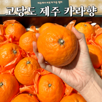 제주 카라향 산지직송 고당도 제철과일, 카라향(가정용), 2kg