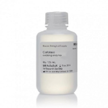 카탈라아제 125ml