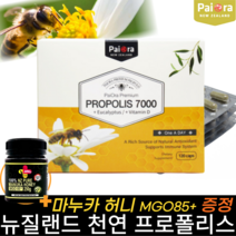 뉴질랜드 프로폴리스 유칼립투스 플라보노이드 120캡슐