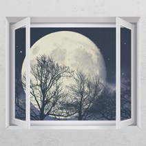 꾸밈 ij432-아름다운달창문그림액자 시트지, D타입-엘레강스실버