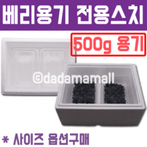 블루베리 500g용기전용 스치박스, 베리통형500g(4개입) /간지미포함