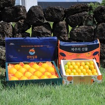 명품패키지 천하일품 과일 명절 선물세트 황금향, 1박스, 02.황금향 선물세트 2.5kg 중대과(9-15과)